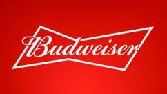 Anheuser Busch - Budweiser 12pk Cans